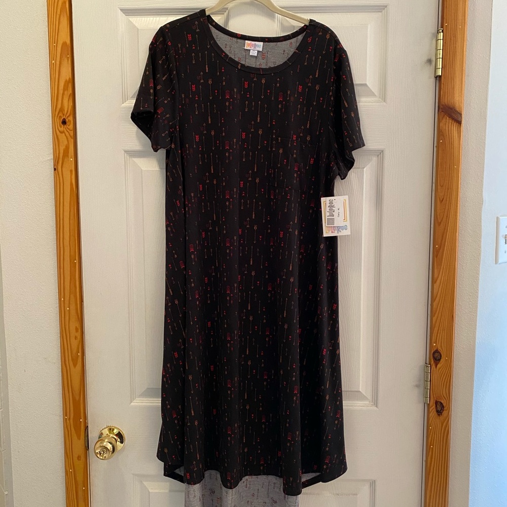 LuLaRoe Carly Dress